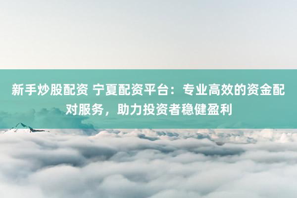 新手炒股配资 宁夏配资平台：专业高效的资金配对服务，助力投资者稳健盈利