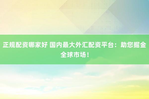 正规配资哪家好 国内最大外汇配资平台：助您掘金全球市场！