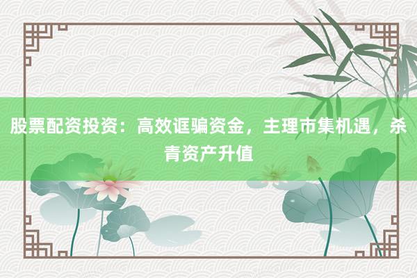 股票配资投资：高效诓骗资金，主理市集机遇，杀青资产升值