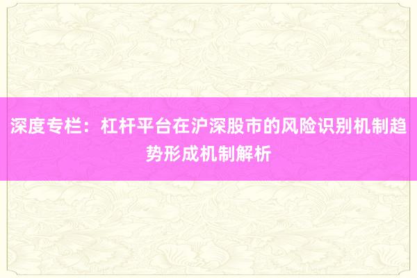 深度专栏：杠杆平台在沪深股市的风险识别机制趋势形成机制解析
