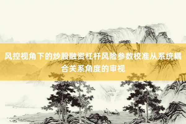 风控视角下的炒股融资杠杆风险参数校准从系统耦合关系角度的审视