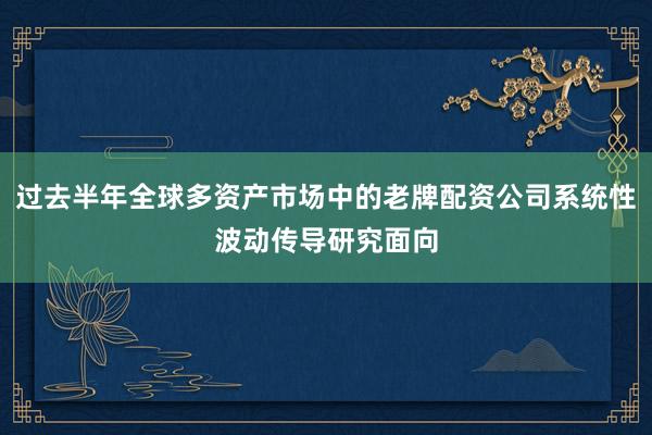 过去半年全球多资产市场中的老牌配资公司系统性波动传导研究面向