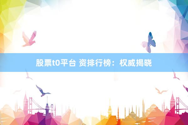 股票t0平台 资排行榜：权威揭晓