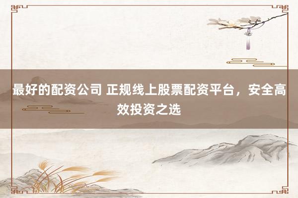 最好的配资公司 正规线上股票配资平台，安全高效投资之选